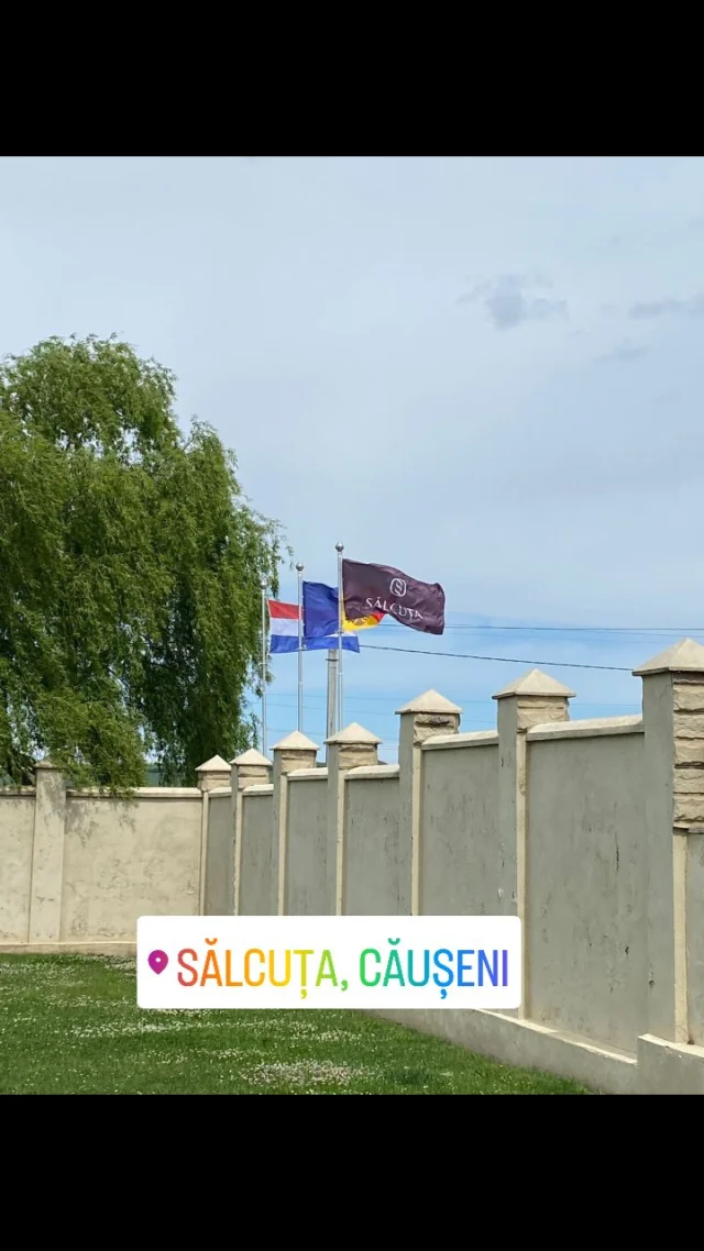 Instagram bericht 18027285164669787